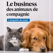 Nos si chers animaux de compagnie : Le Progrès révèle combien coûtent vraiment chiens et chats en 2026, des soins vétérinaires au deuil animalier