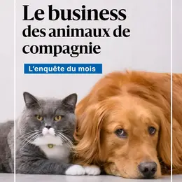 Nos si chers animaux de compagnie : Le Progrès révèle combien coûtent vraiment chiens et chats en 2026, des soins vétérinaires au deuil animalier