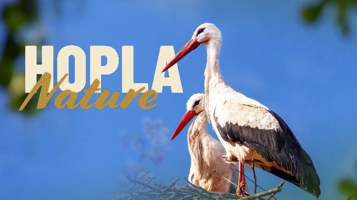Hopla Nature au Parc Zoologique et Botanique de Mulhouse : biodiversité et nature à portée de main