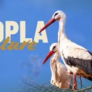 Hopla Nature au Parc Zoologique et Botanique de Mulhouse : biodiversité et nature à portée de main