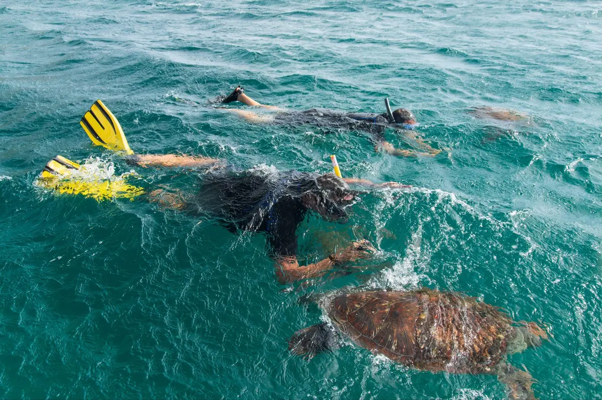 Cap-Vert : plongée, kitesurf, baleines à bosse et tortues marines attendent les amateurs de mer dans un archipel atlantique ensoleillé toute l'année