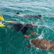 Cap-Vert : plongée, kitesurf, baleines à bosse et tortues marines attendent les amateurs de mer dans un archipel atlantique ensoleillé toute l'année