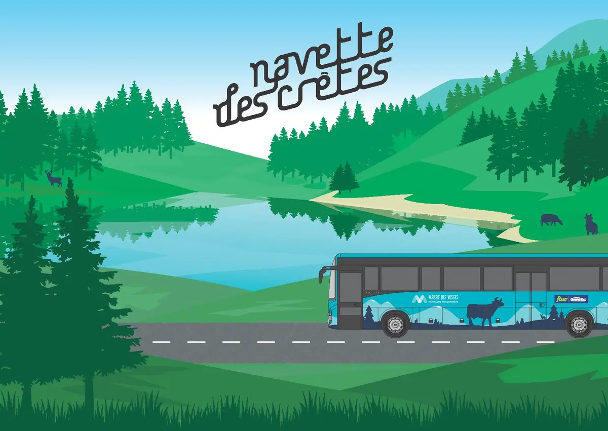 Navette des Crêtes dans les Vosges : dès 4 euros, ce bus relie Colmar et Mulhouse aux sommets sans voiture du 30 mai au 27 septembre 2026