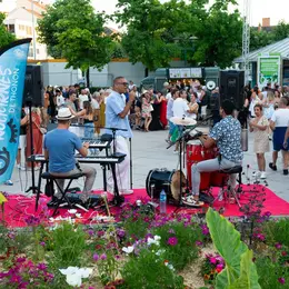 Les Nocturnes de Thonon : festivals, concerts et animations en centre-ville