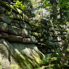 Mur païen du Mont Saint Odile