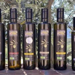 *immersion Au Cœur De L'Oliveraie : Visite Accompagnée Du Mas Py Et Dégustation D'Huile D'Olive D'Exception