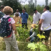 Immersion Au Château Lancyre