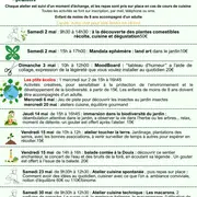 Immersion dans la biodiversité du jardin