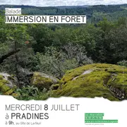 Immersion en forêt