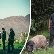 Immersion en territoir basque : Plongez au cœur du modèle coopératif basque avec Belaun et La Cave d’Irouléguy