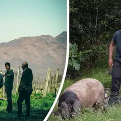 Immersion en territoir basque : Plongez au cœur du modèle coopératif basque avec Belaun et La Cave d’Irouléguy