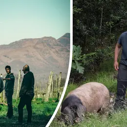 Immersion en territoir basque : Plongez au cœur du modèle coopératif basque avec Belaun et La Cave d’Irouléguy