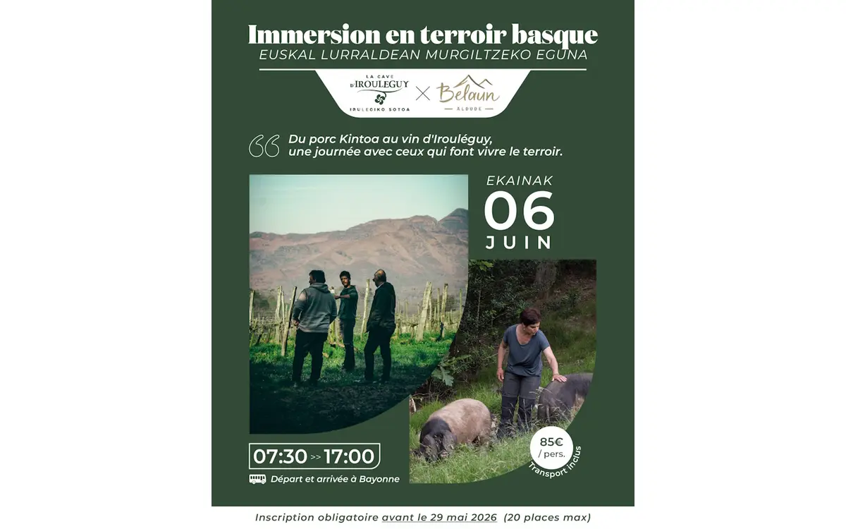 Immersion en terroir basque : Belaun et Cave d'Irouléguy