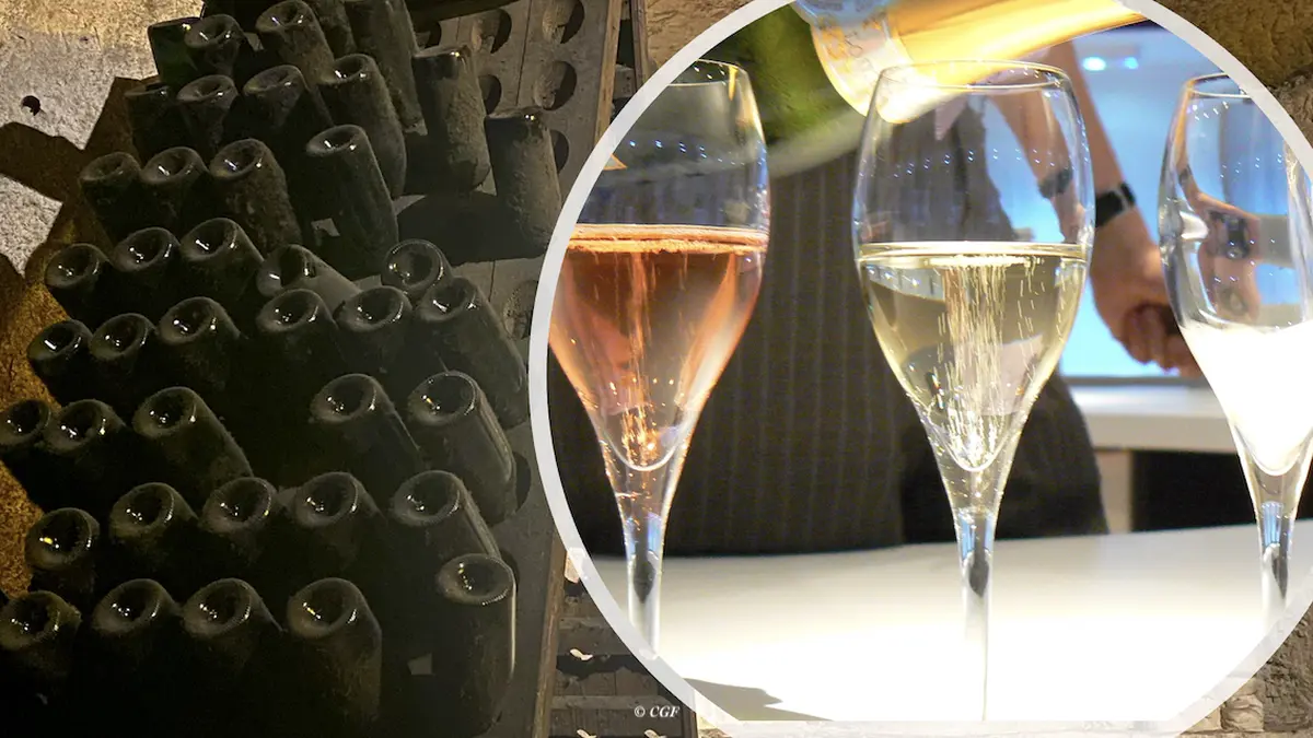 Immersion Gustative Dans Le Monde Des Crémant De Bourgogne Et D’ailleurs !