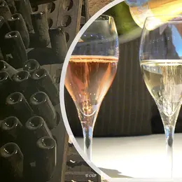 Immersion Gustative Dans Le Monde Des Crémant De Bourgogne Et D’ailleurs !