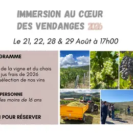 Immersion vendanges