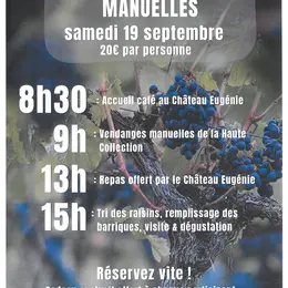 Immersion vendanges manuelles au Château Eugénie