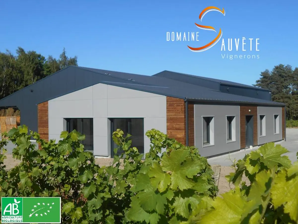 Immersion vigneronne entre terroirs et cépages au Domaine Sauvète à Monthou-sur-Cher