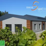 Immersion vigneronne entre terroirs et cépages au Domaine Sauvète à Monthou-sur-Cher