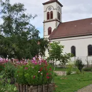 Immobilier neuf en périphérie de Mulhouse : un marché recentré sur l’habitation principale