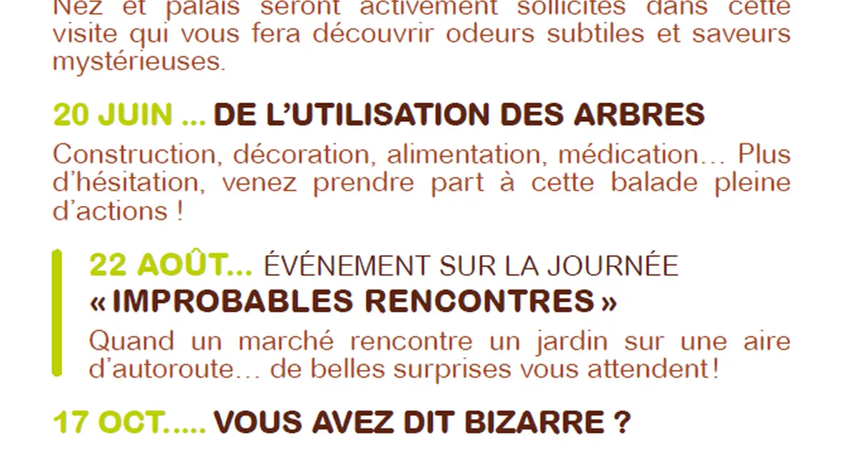 Improbables rencontres