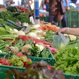 Inauguration D'Une épicerie Itinérante