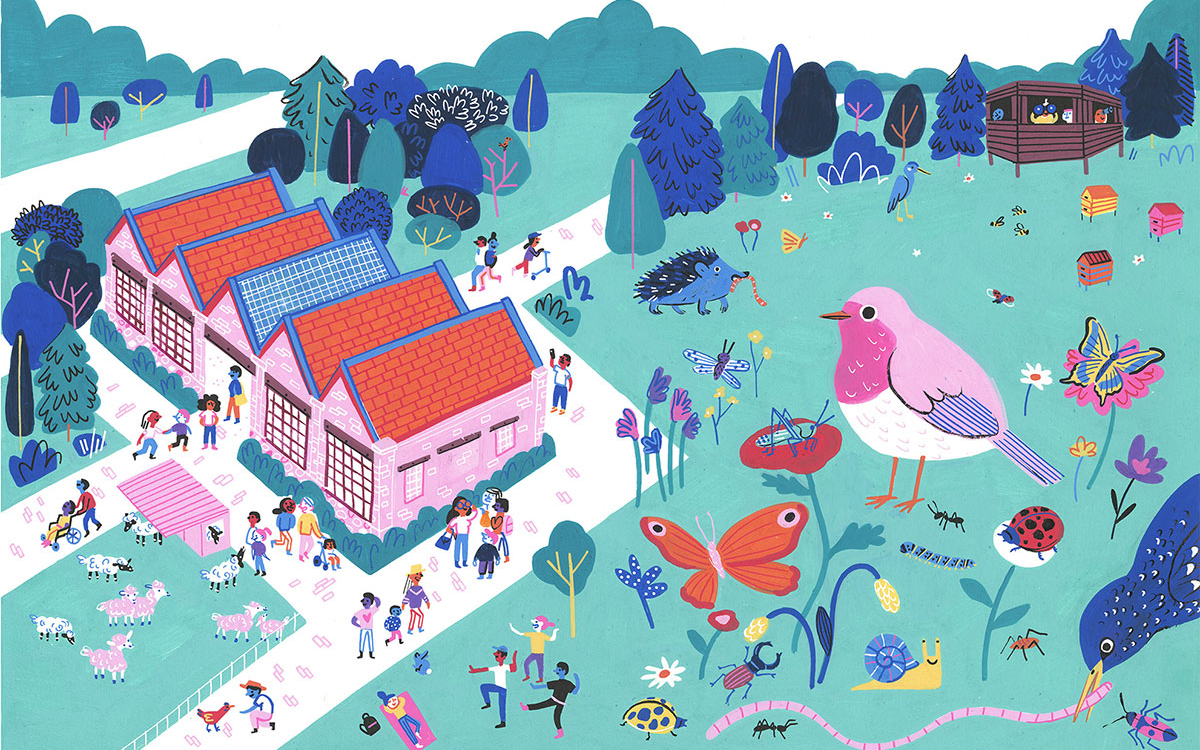 Illustration Halle de Rouvray