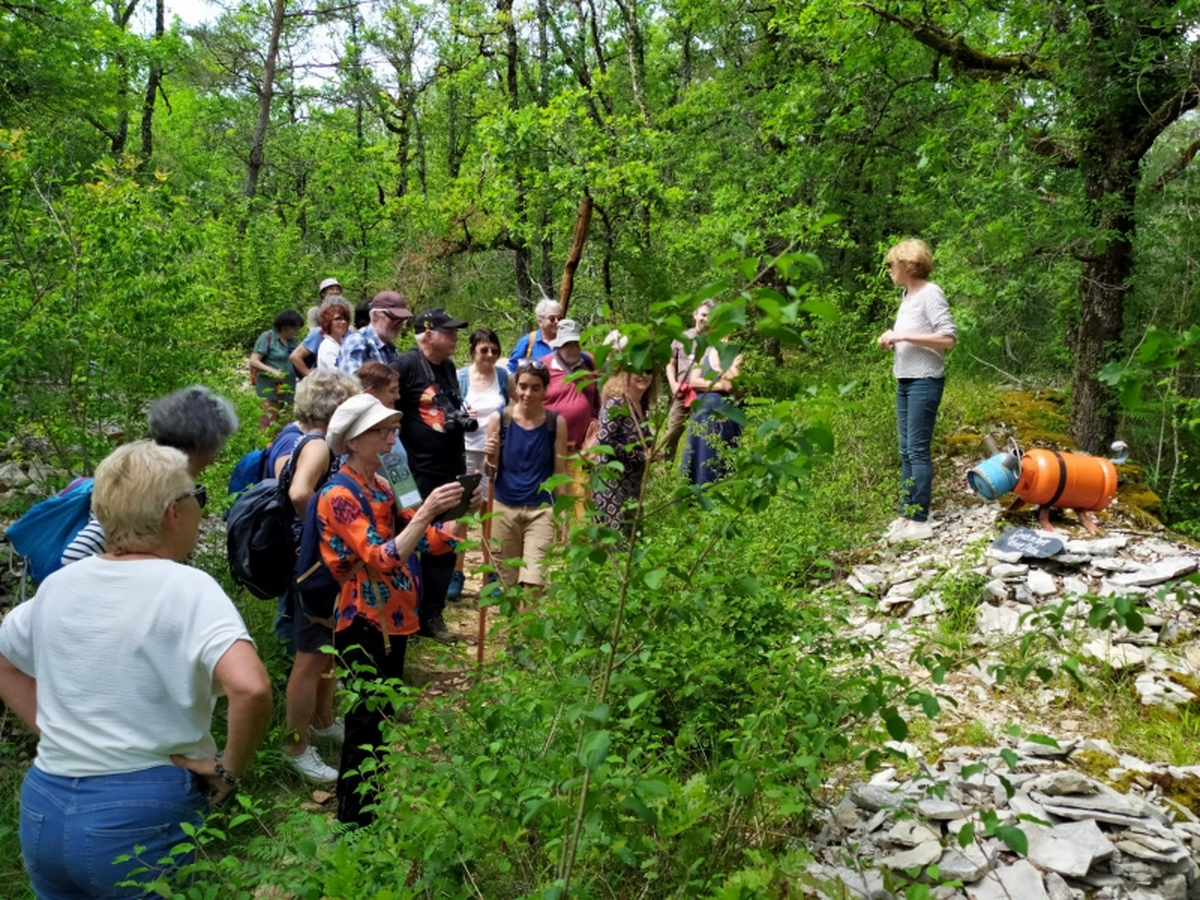 Inauguration du nouveau parcours Art sur le Causse