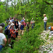 Inauguration du nouveau parcours Art sur le Causse