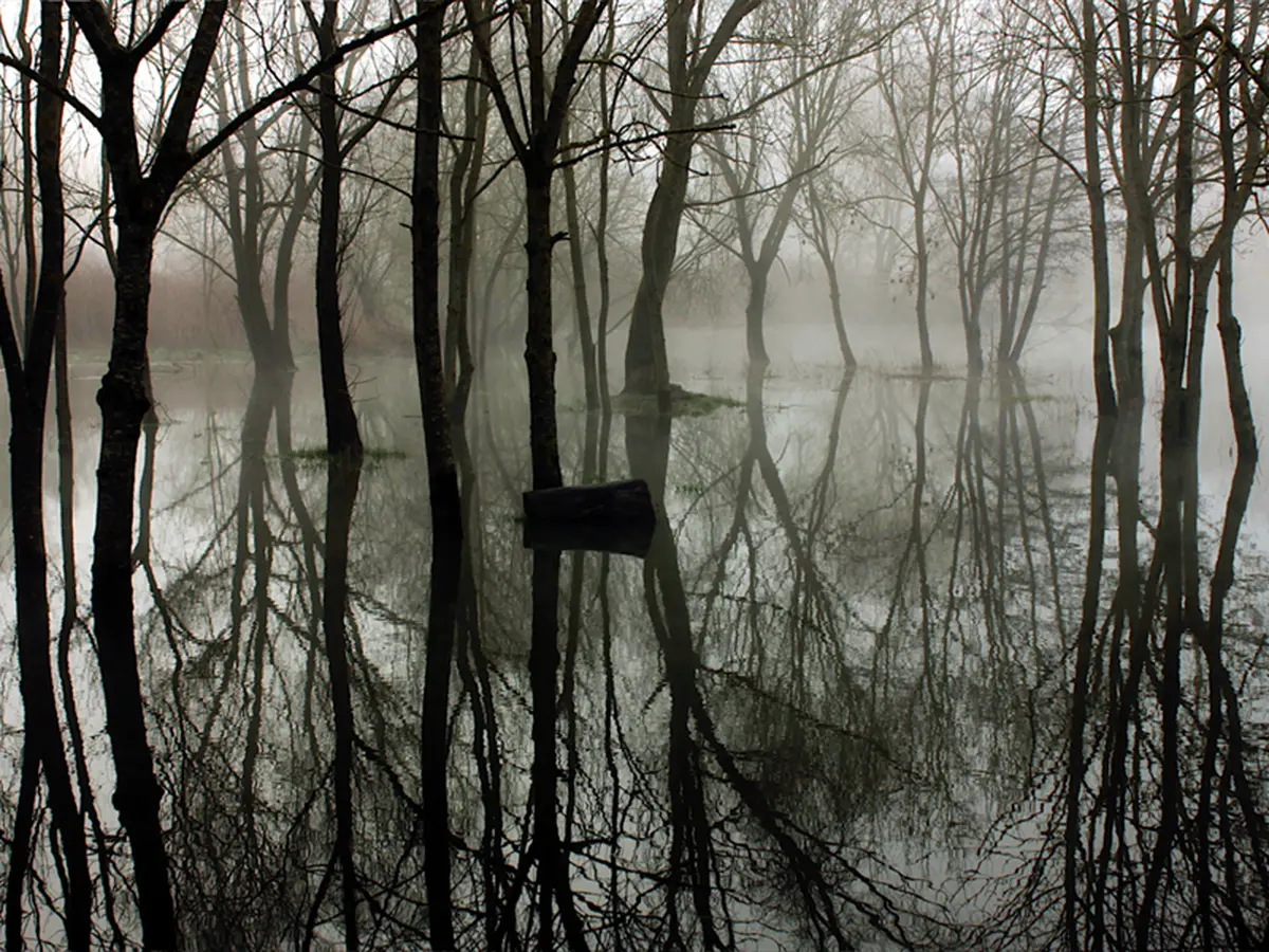 Inauguration sauvage : art et nature en dialogue - La Moselle Sauvage en Fête !