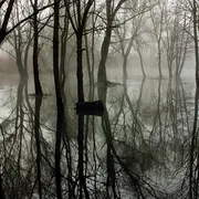 Inauguration sauvage : art et nature en dialogue - La Moselle Sauvage en Fête !