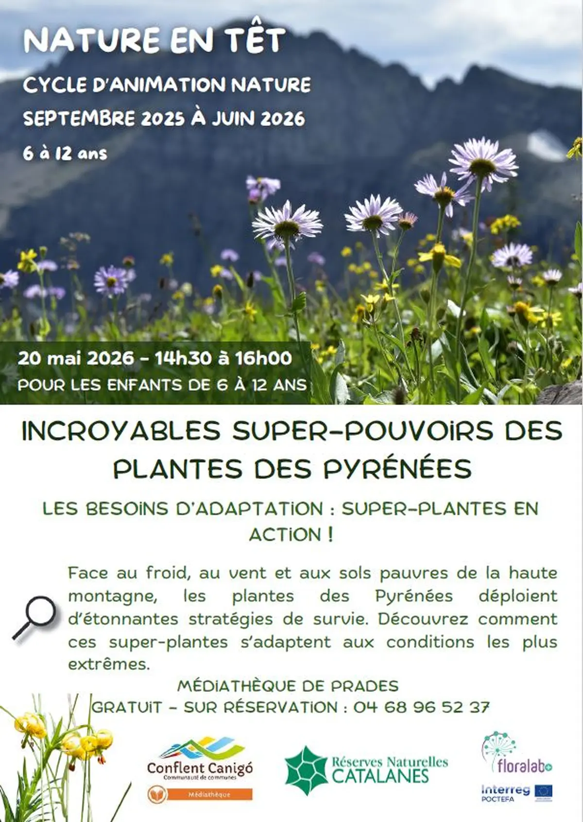 Incroyables Super-Pouvoirs Des Plantes Des Pyrénées