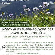 Incroyables Super-Pouvoirs Des Plantes Des Pyrénées