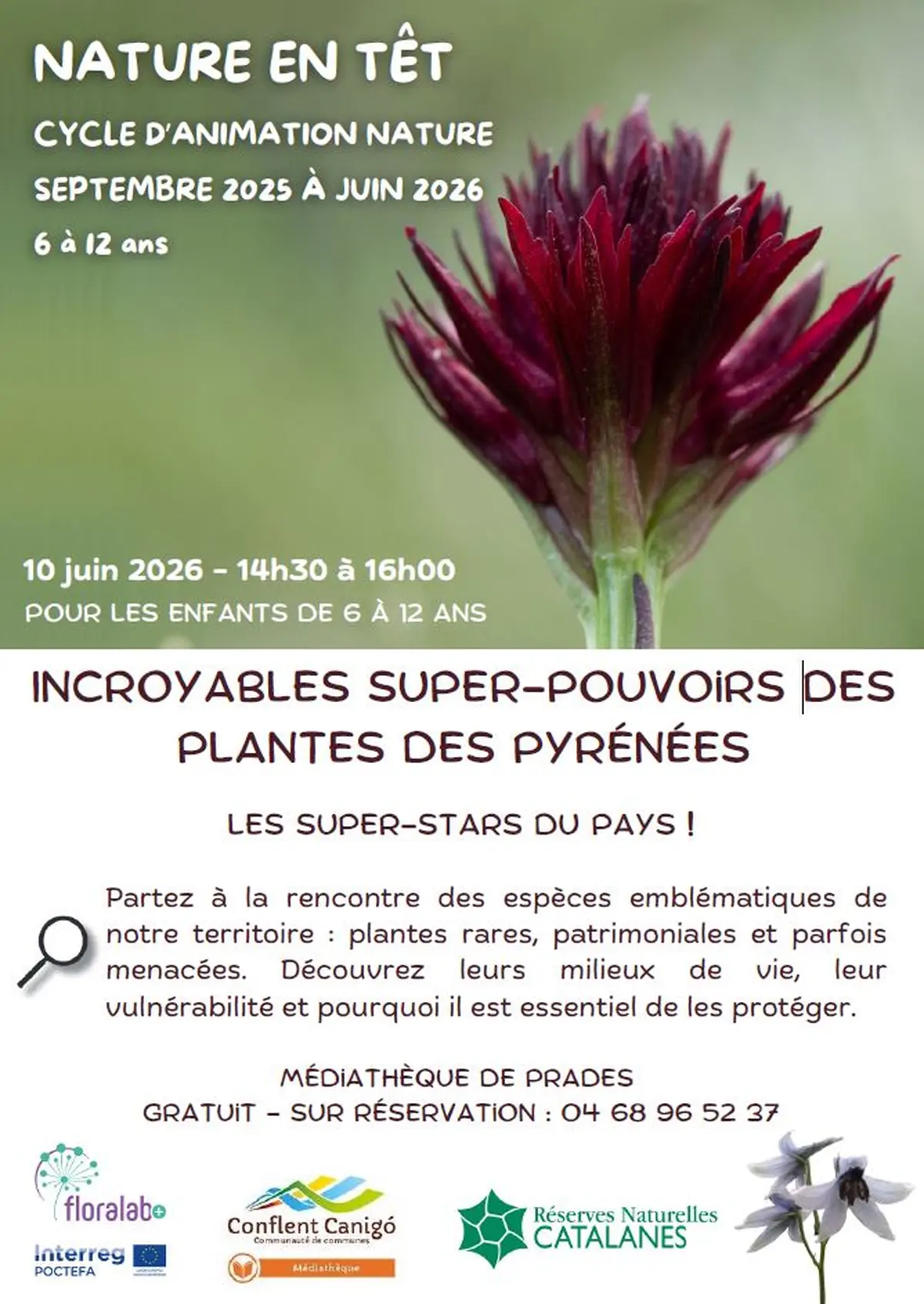 Incroyables Super-Pouvoirs Des Plantes Des Pyrénées