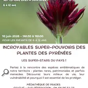 Incroyables Super-Pouvoirs Des Plantes Des Pyrénées