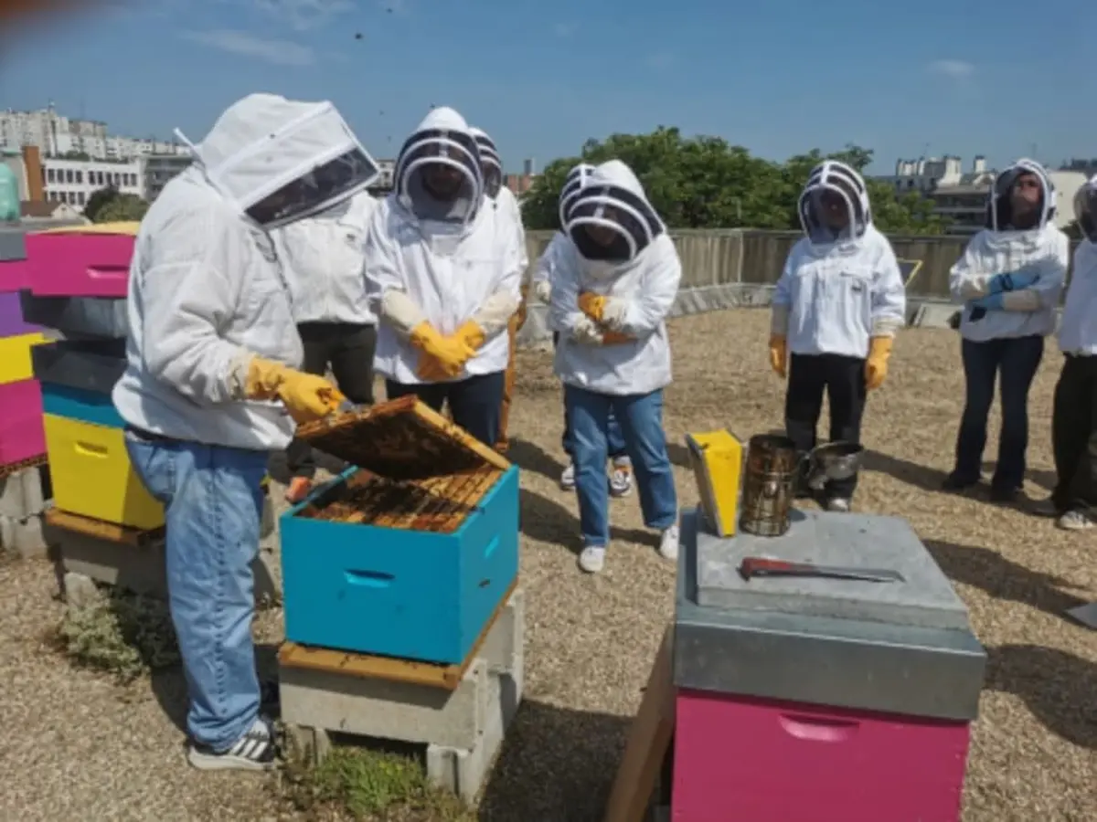 Initiation à l'apiculture à Montreuil (93)