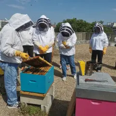 Initiation à l'apiculture à Montreuil (93)