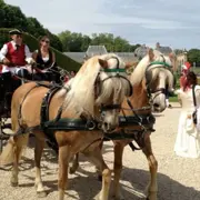 Initiation à l'attelage et balade à coté de Tournan-en-Brie (77)