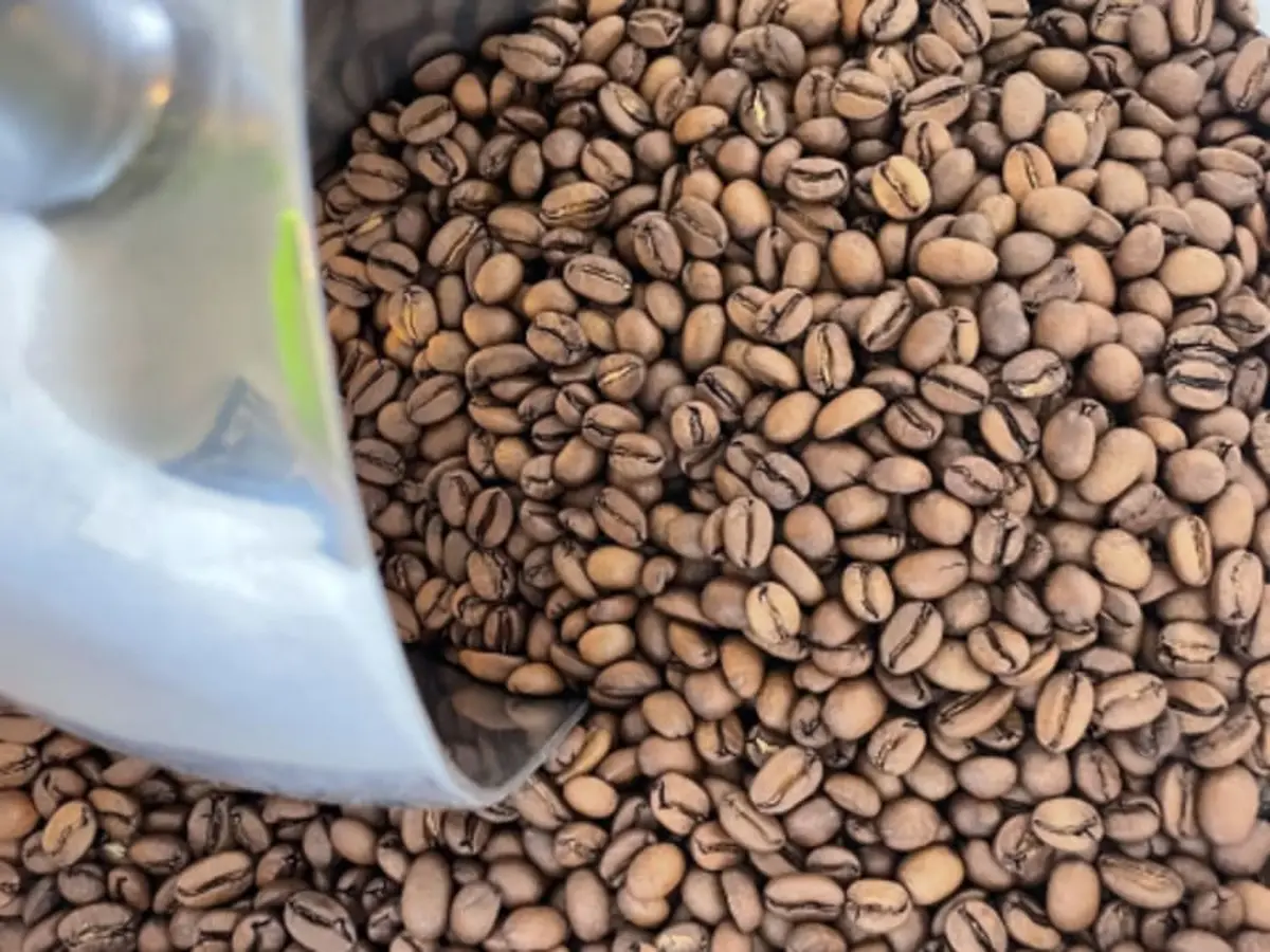 Initiation à l'extraction de café près de Montpellier (34)