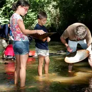 Initiation à l'orpaillage