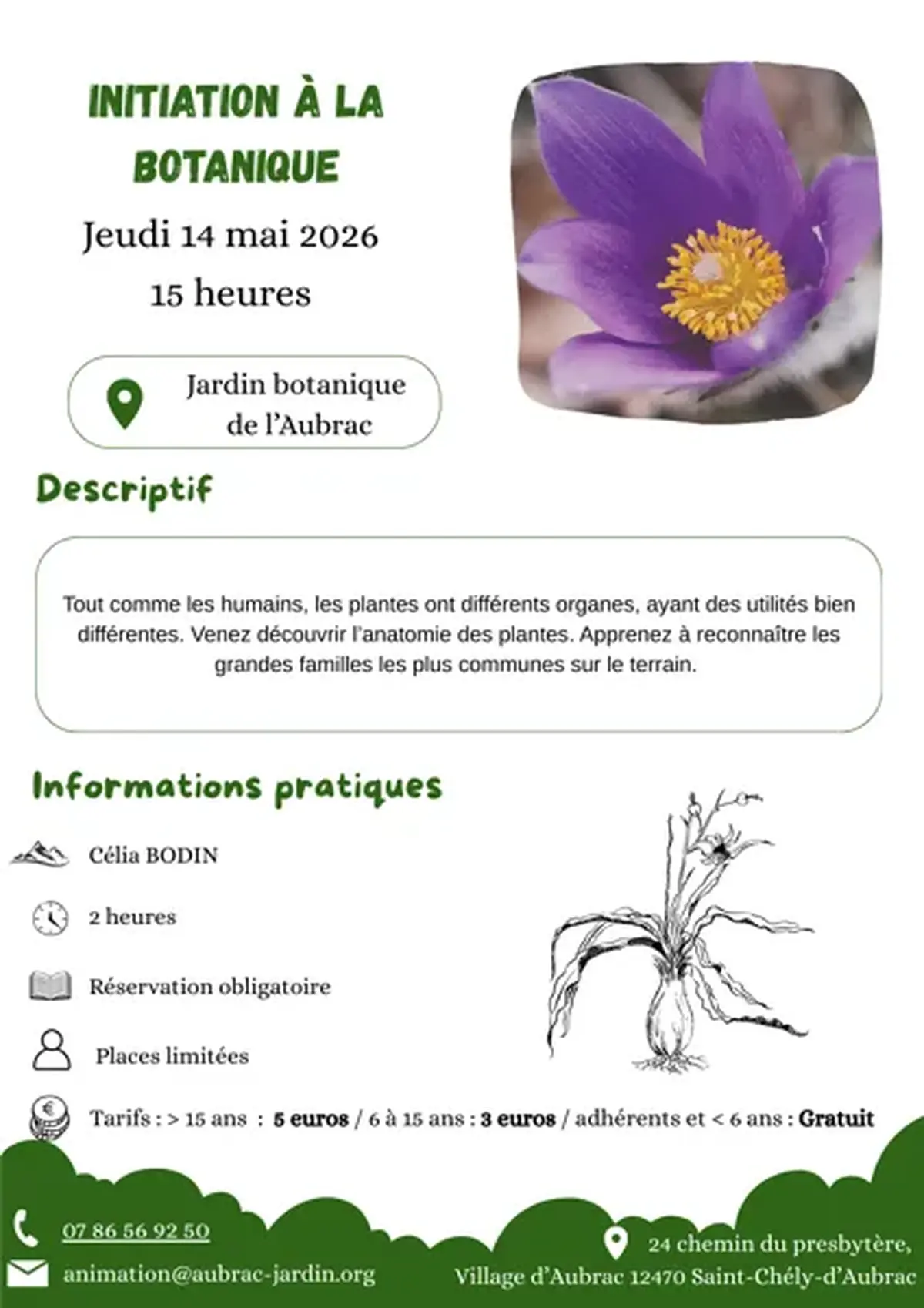 initiation à la botanique