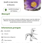 initiation à la botanique