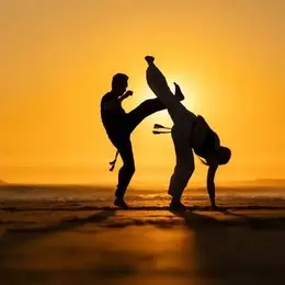 Initiation à La Capoeira