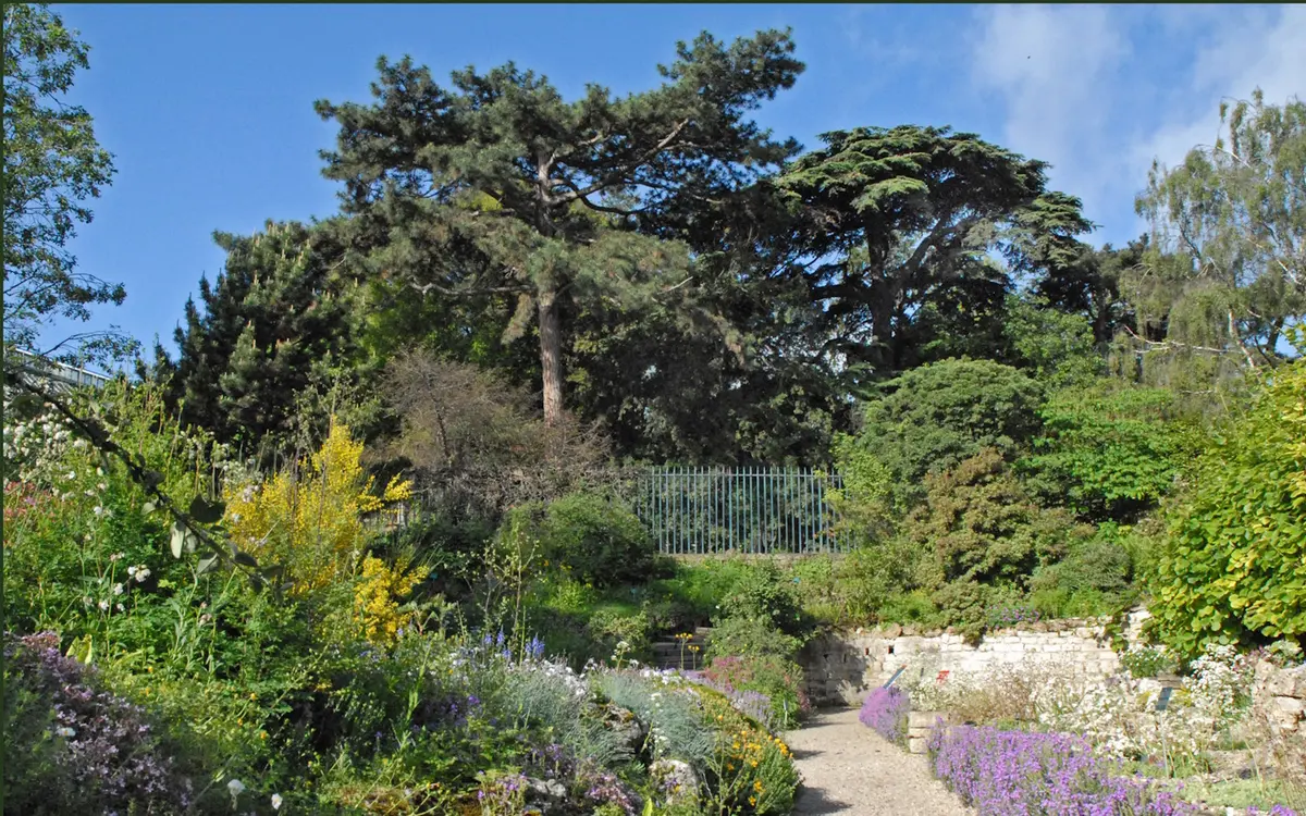 Initiation à la création d'un jardin forêt
