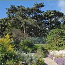 Initiation à la création d'un jardin forêt