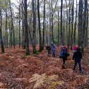 Initiation à la découverte des champignons