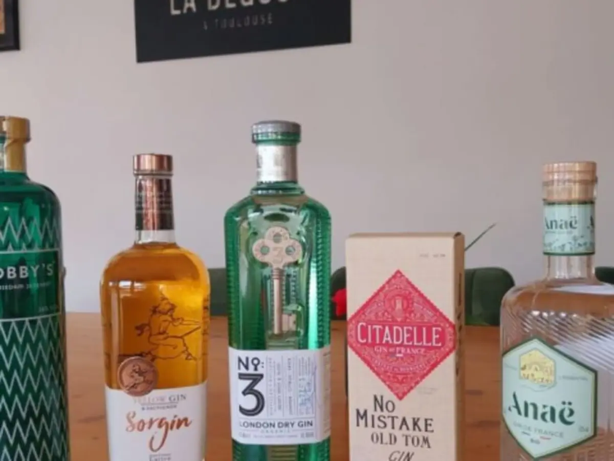 Initiation à la dégustation de Gins à Toulouse (31)