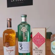 Initiation à la dégustation de Gins à Toulouse (31)