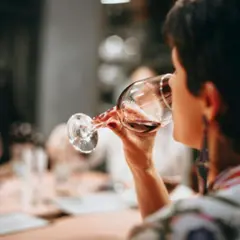 Initiation à la dégustation de vin à Fontainebleau (77)