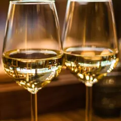 Initiation à la dégustation de vin au Mans (72)